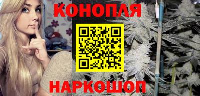 гашик Моздок