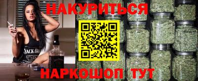 гашик Моздок