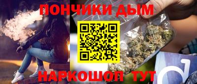 гашик Моздок