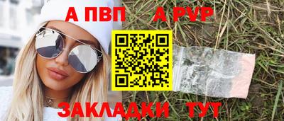 гашик Моздок