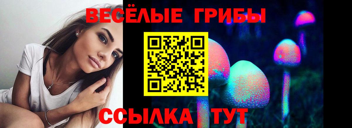 Югорск  Псилоцибиновые грибы прущие грибы  Вход с VPN 